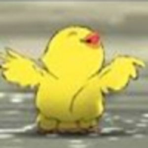 Meet your Posher, Bird